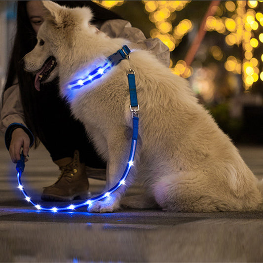 Creative LED USB Charging Luminous Pet Leash