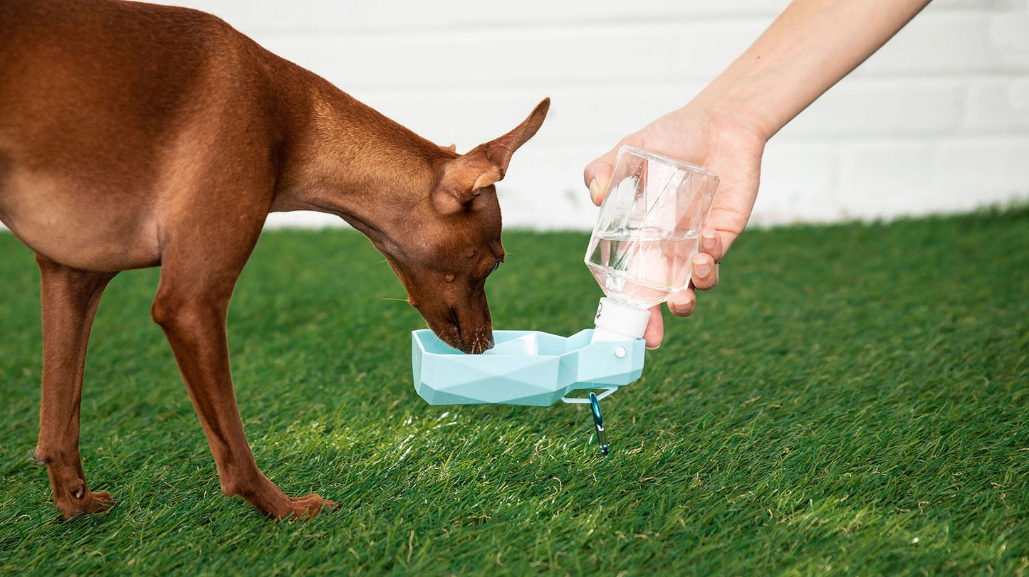 Water Bottle