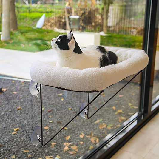 Cat Hammock Hanging Suction Cup Window